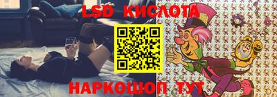 спиды Бердск