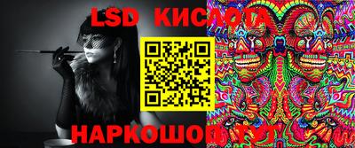 спиды Бердск