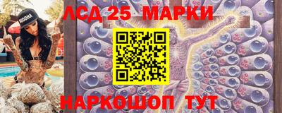 спиды Бердск