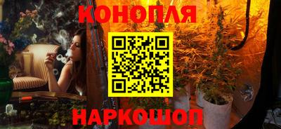spice Брянск