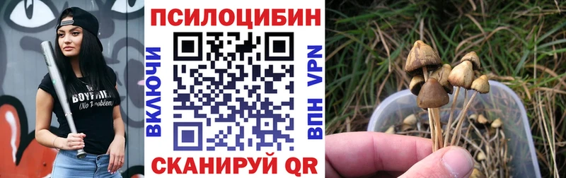 Галлюциногенные грибы мицелий  кракен ТОР  Богородицк 
