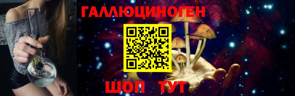 Богородицк  Псилоцибиновые грибы прущие грибы  Вход с VPN 